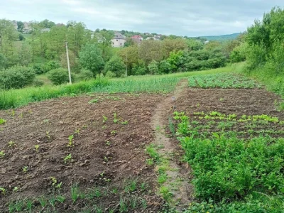 Продам домоволодіння 170 м.кв.зі зручностями на виїзді з Сад