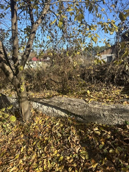Пропонуємо до продажу Будинок із великою зем. ділянкою в Дах
