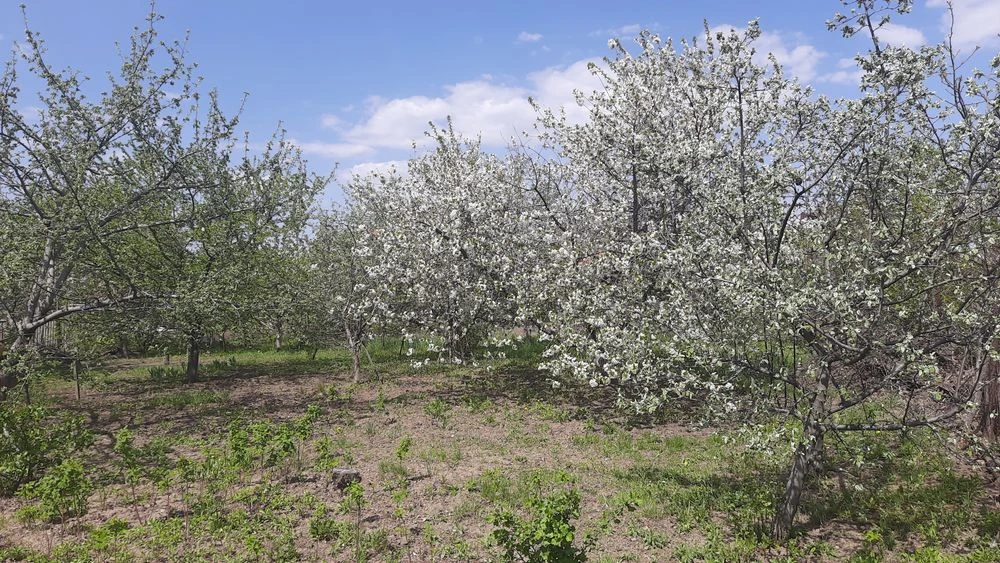 Продам ділянку 16с,елітне місто під забудову