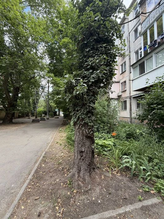 Продам 3-комнатную квартиру, Краснова / Адмиральский проспек