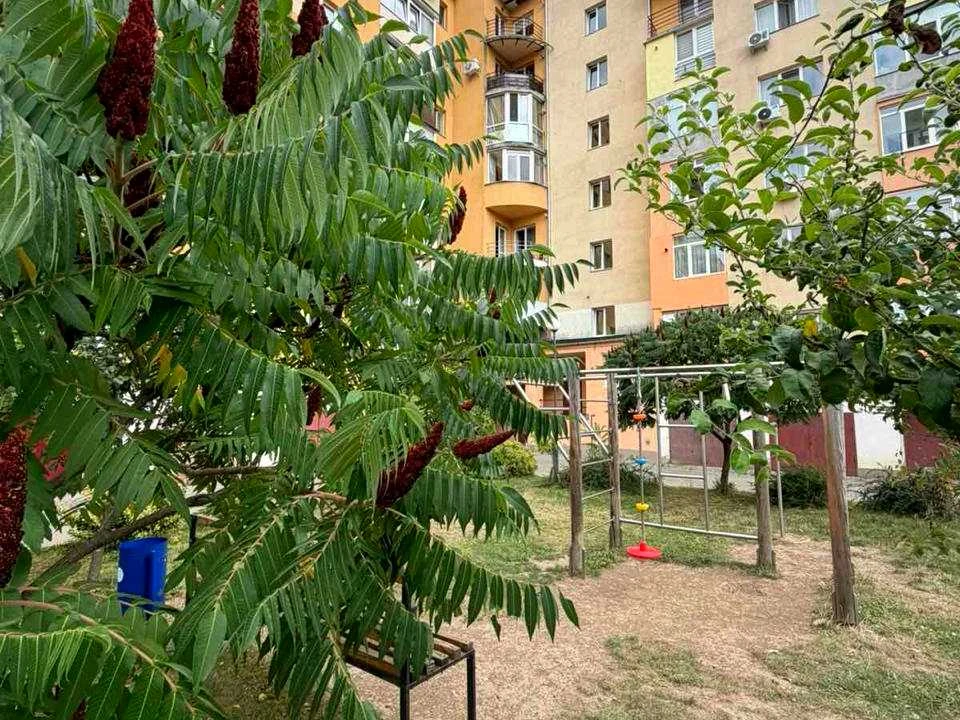 Квартира. Ивано-Франковск, Александра Довженко ул.