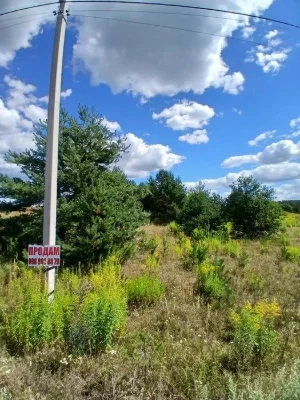 Земельна ділянка у лісі біля м.Рівне в с.Козлин -с. Ремель
