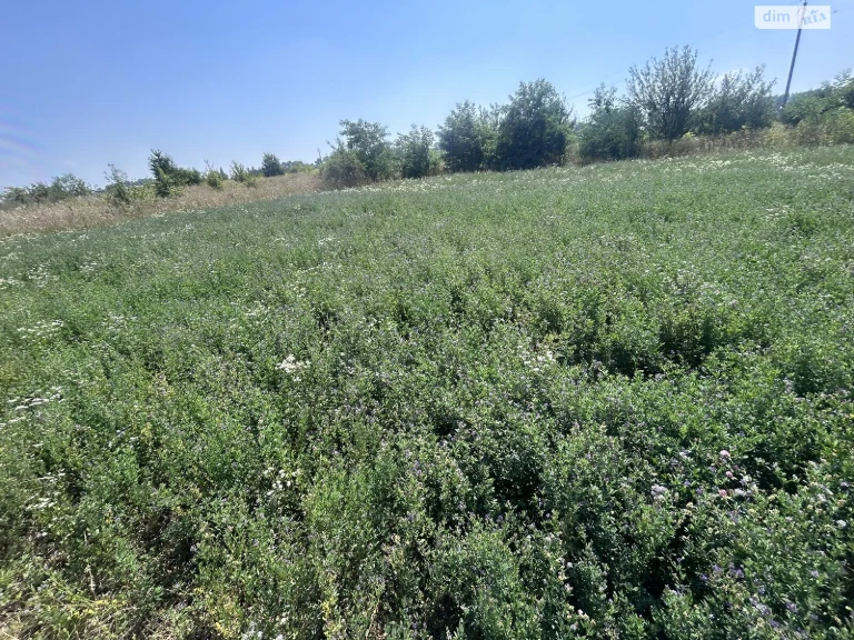 Продаж Земля сільськогосподарського призначення