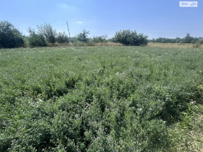 Продаж Земля сільськогосподарського призначення