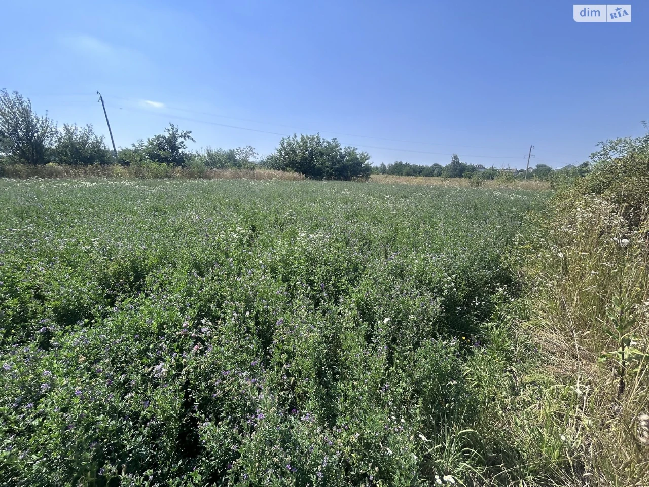 Продаж Земля сільськогосподарського призначення