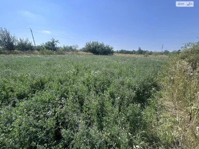 Продаж Земля сільськогосподарського призначення