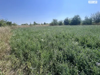 Продаж Земля сільськогосподарського призначення