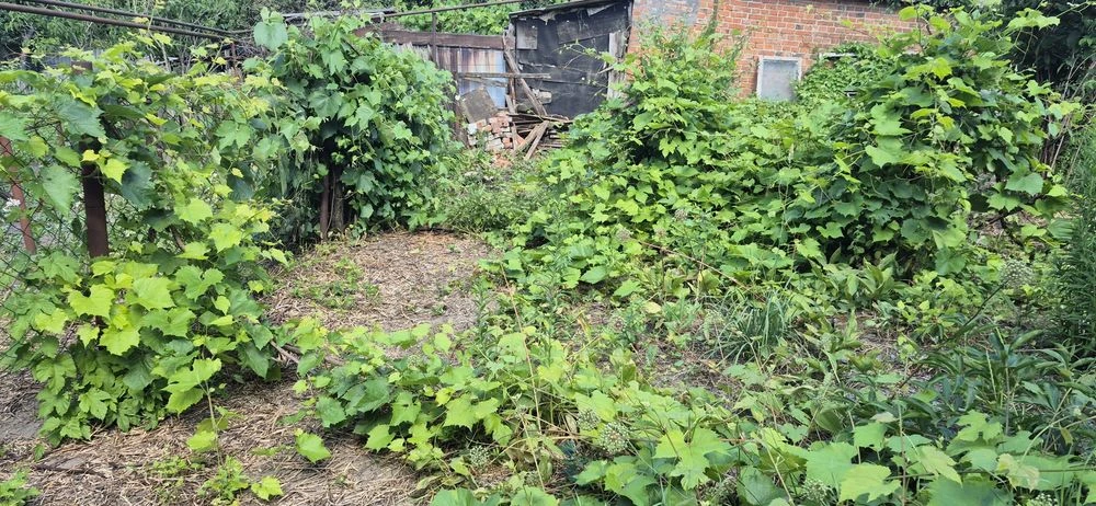 Продам будинок та земельну ділянку можна під дачу