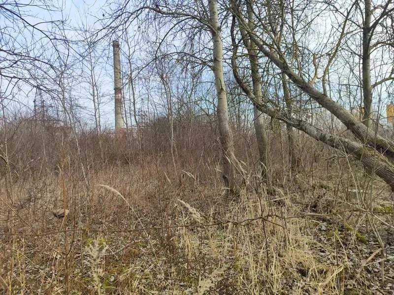 Земельна ділянка (2,5602 га) - м. Львів, промислова зона “Ря