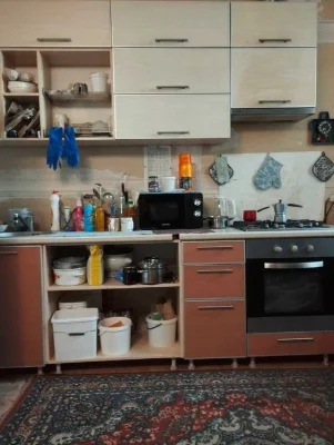 Selling a 1-room apartment on Kholodnaya Gora.