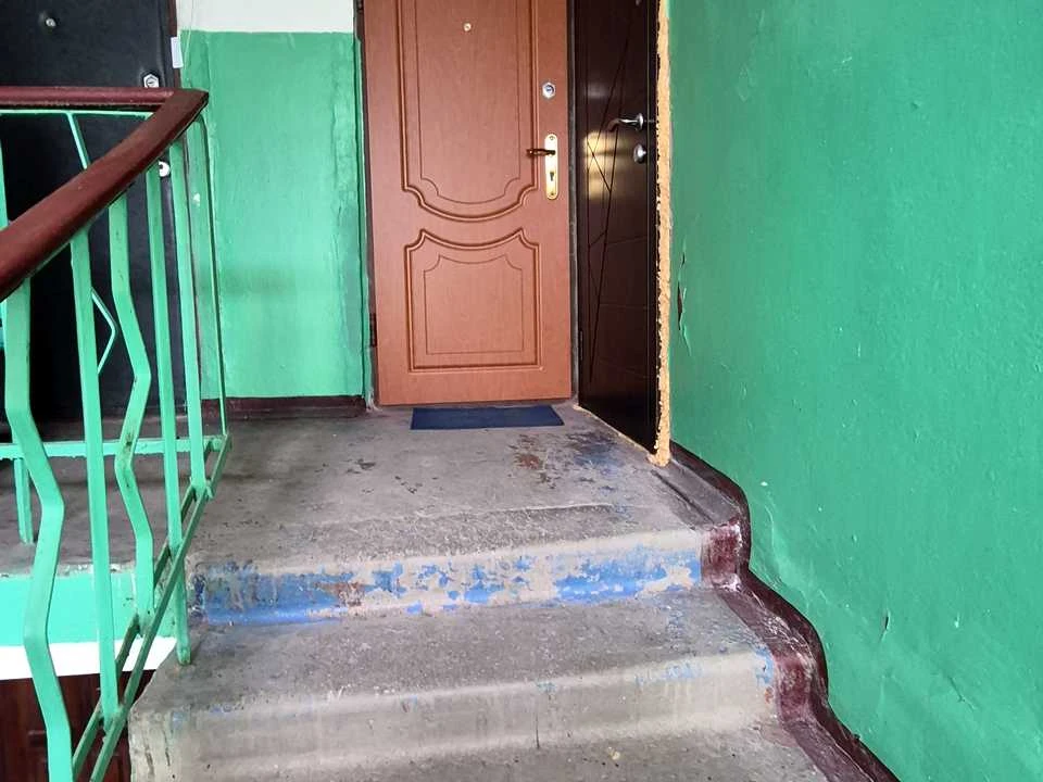 Apartment. Kharkiv, Frantishka Krala St.