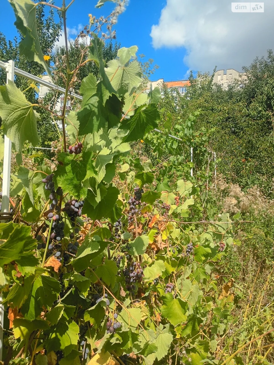 Продаж Ділянка під житлову забудову Виставка