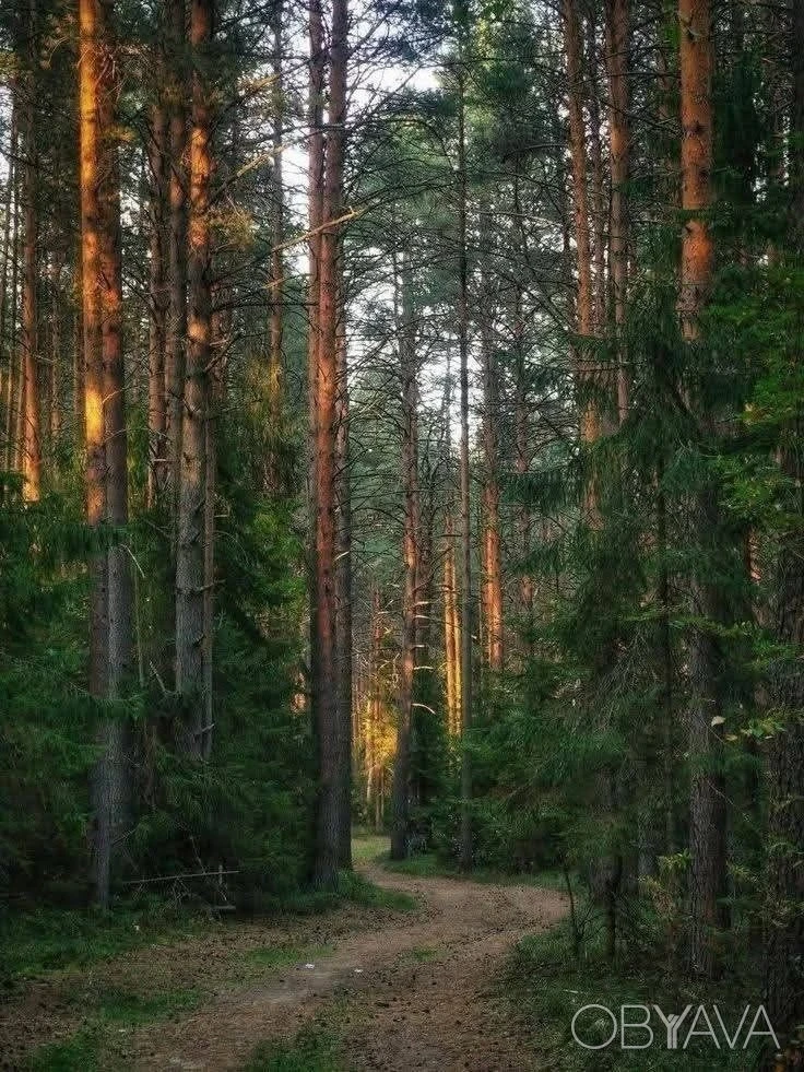 Продаж унікального рекреаційного комплексу в Пуща-Водиці/Киї