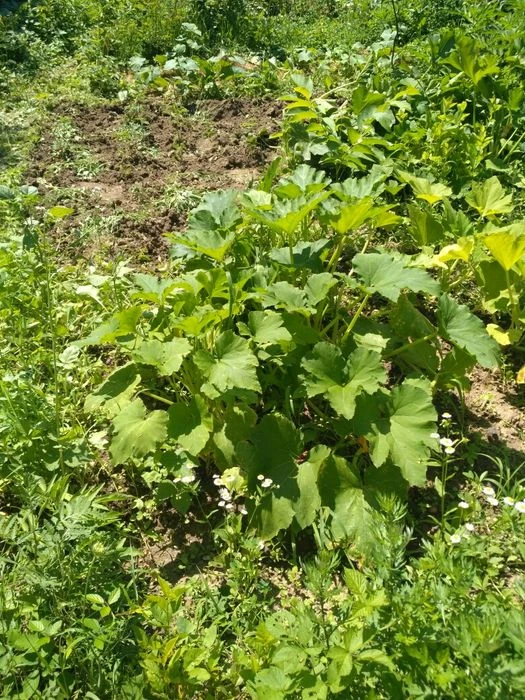 Цегляний дачний будинок район Горяни