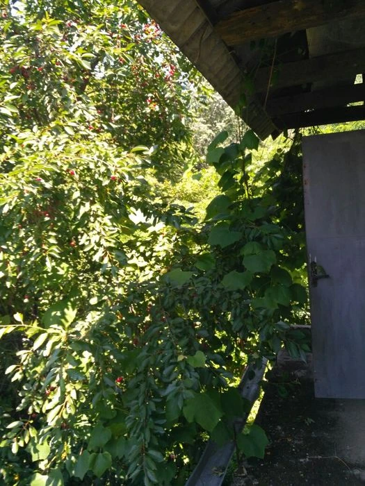 Цегляний дачний будинок район Горяни