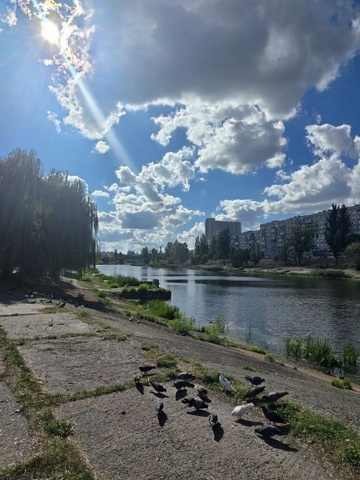 Оренда 2кім квартири по вул Бучми, 4; метро Лівобережна, Бер