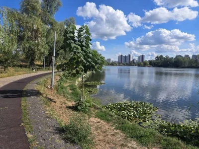 Оренда 2кім квартири по вул Бучми, 4; метро Лівобережна, Бер