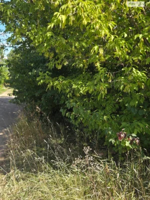 Продаж Ділянка під житлову забудову