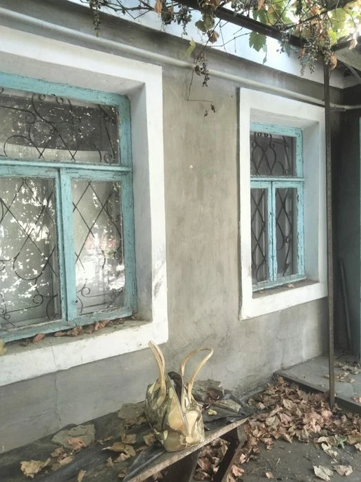 Продам будинок  + літня кухня 27000