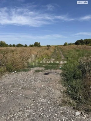 ‼️Продаж фасадної землі 12 га, Ружична #90548‼️
