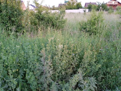 For sale Land for residential development Old Town