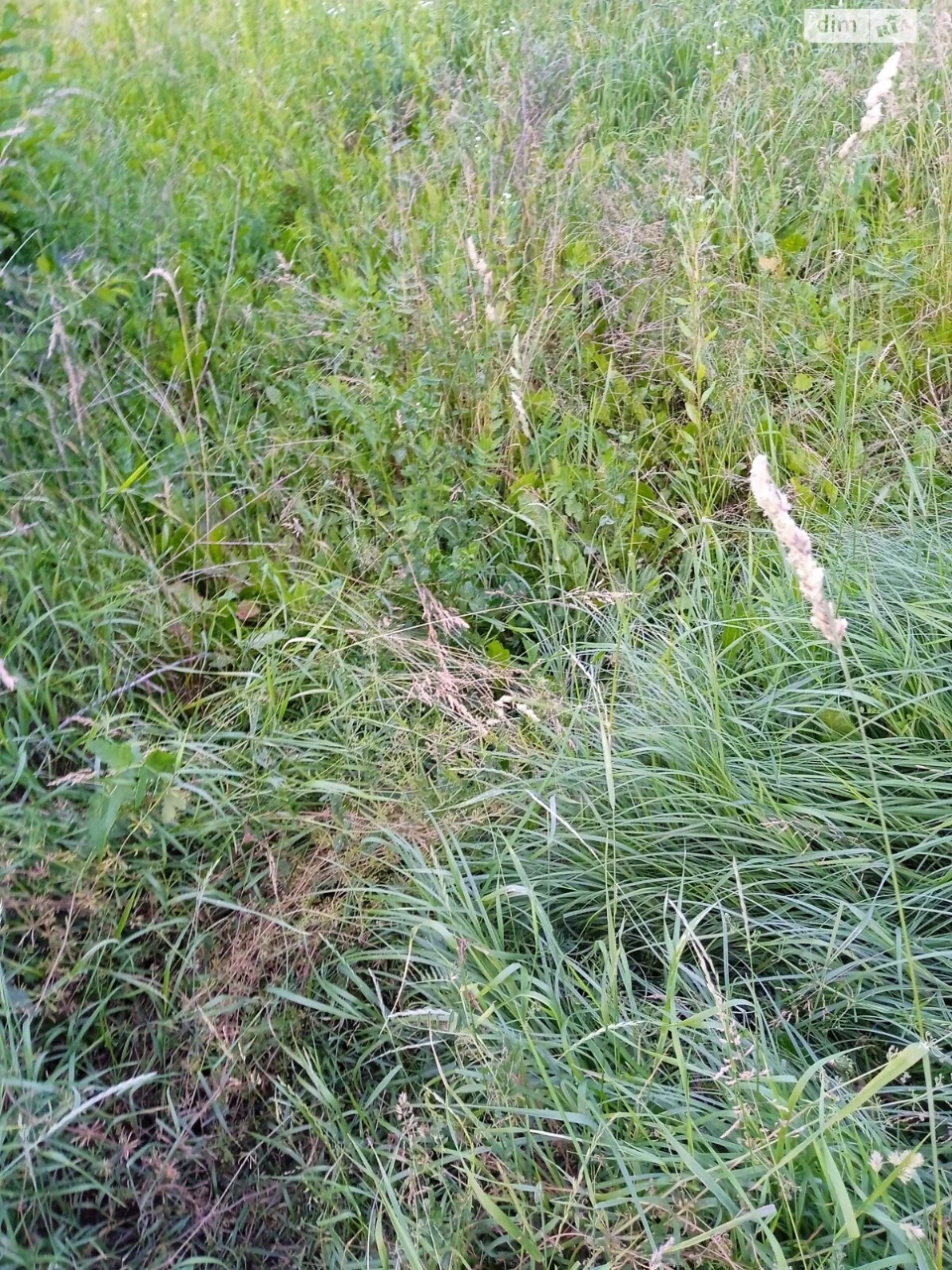 For sale Land for residential development Old Town