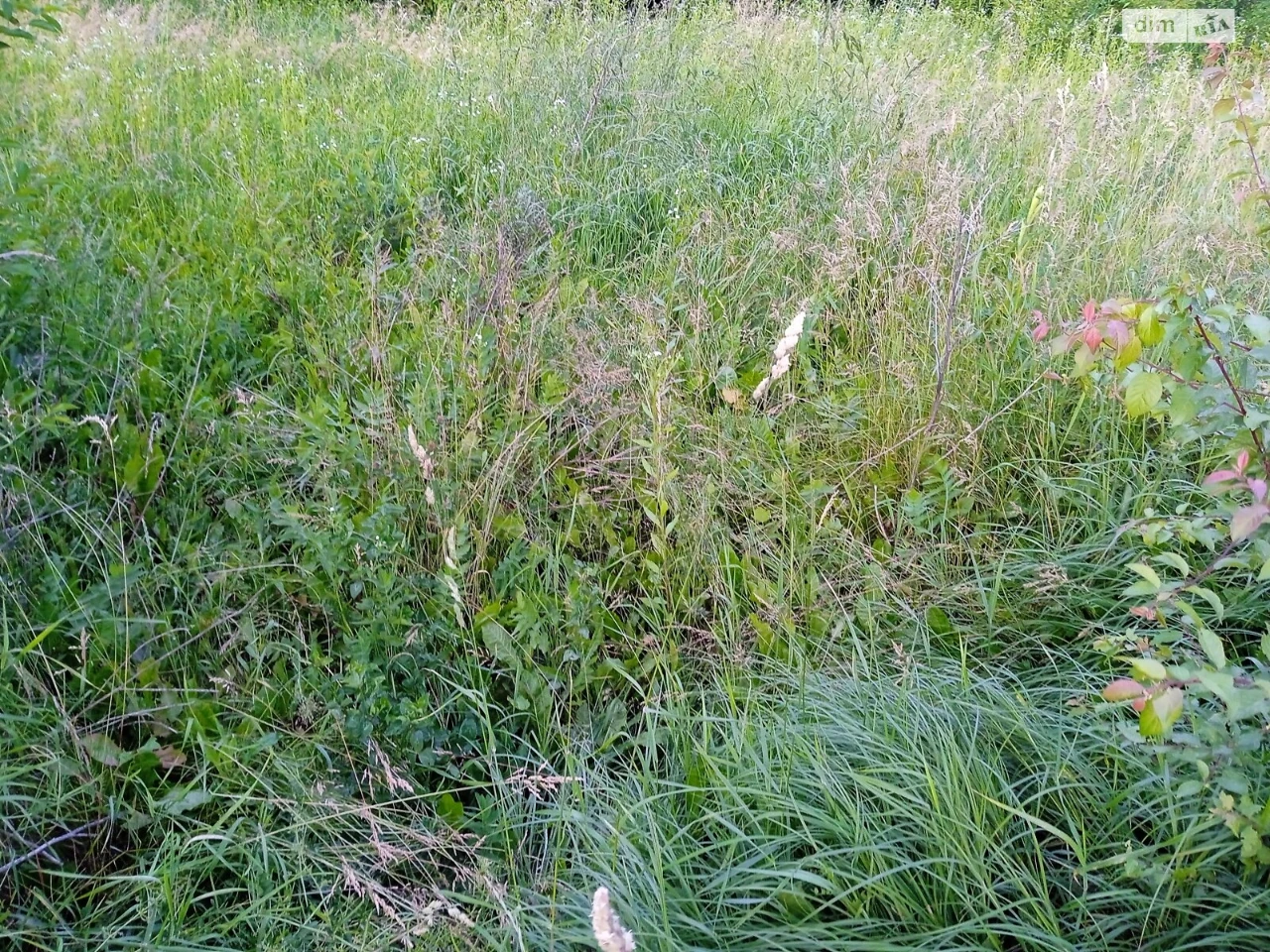 For sale Land for residential development Old Town