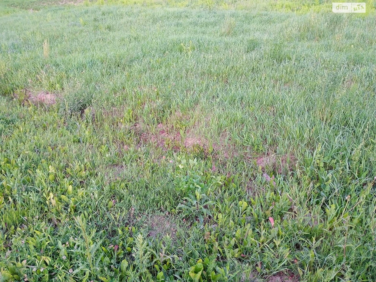 For sale Land for residential development Old Town