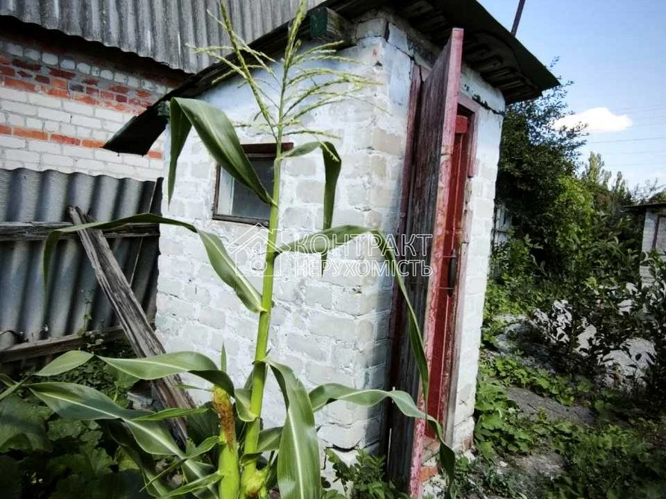 Будинок. Харків, Плитковий пров.