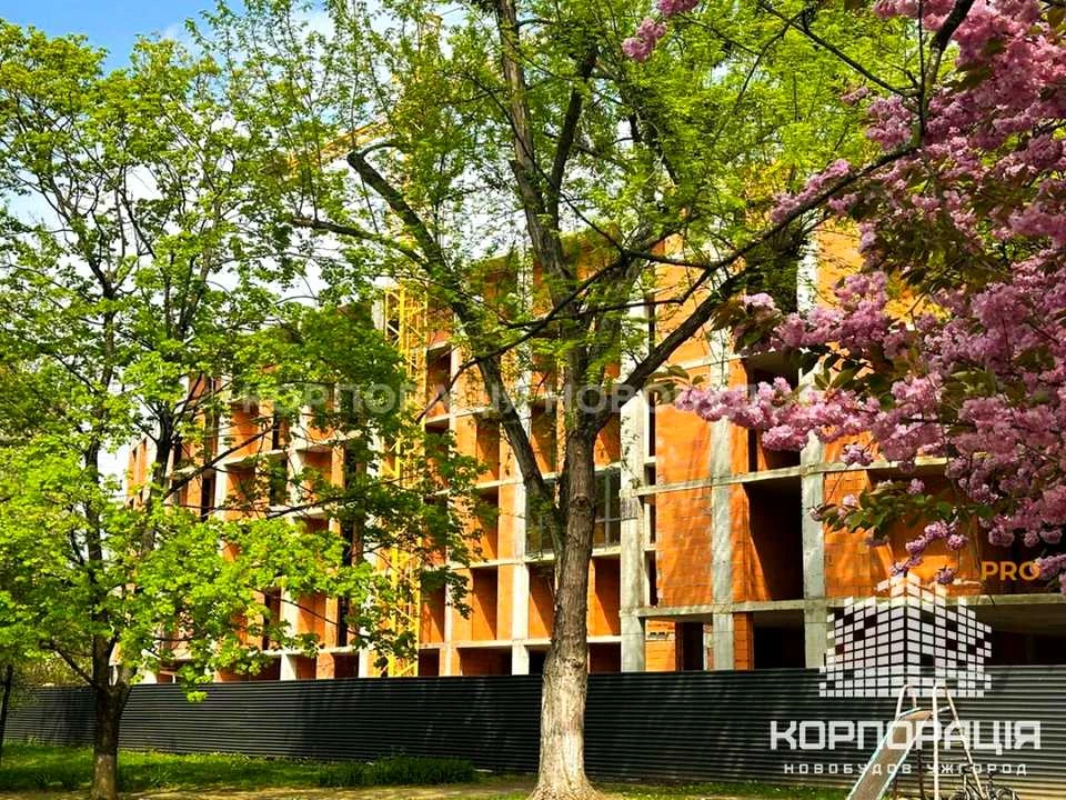 Квартира. Ужгород, Закарпатська вул.