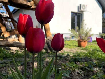 Будинок. Вінниця, Ольги Кобилянської вул.