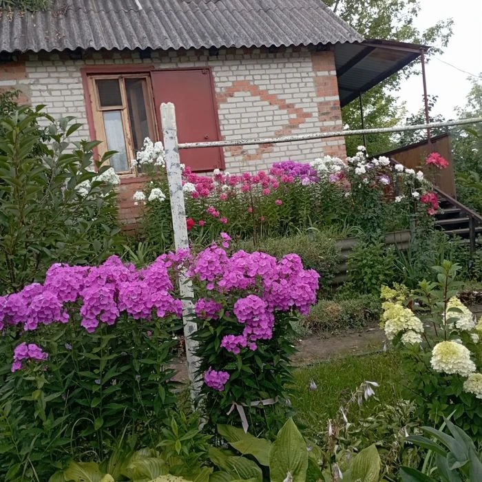 Власник ! Продам дачу садовий кооператив Баранівка-1