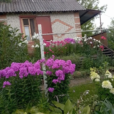 Власник ! Продам дачу садовий кооператив Баранівка-1