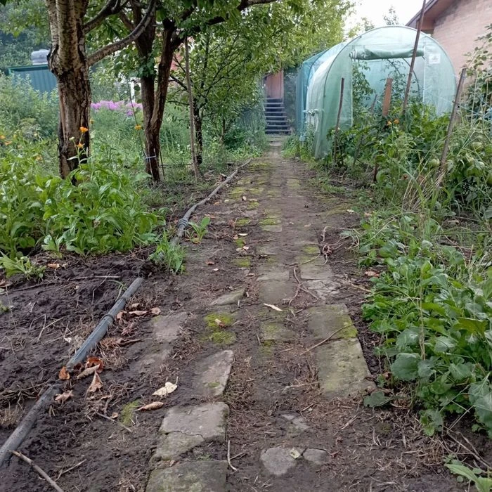 Власник ! Продам дачу садовий кооператив Баранівка-1