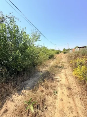 Ужгород, Садовий. Ділянка під забудову.