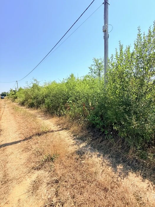 Ужгород, Садовий. Ділянка під забудову.