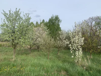 Продам земельну ділянку в мікрорайоні Лєзнєво