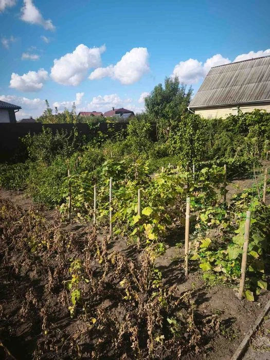 Продам Таунхаус на Роменской