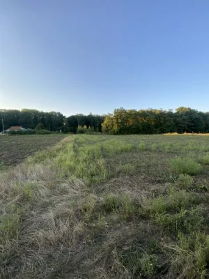 Продаж земельна ділянка 10-соток