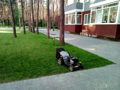 1-комнатная квартира, 25 кв.м