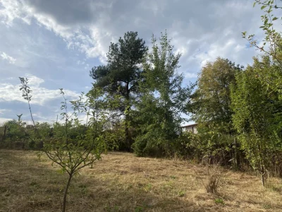 Ужгород ,вулиця Березова,казкова ділянка,з виходум у ліс.