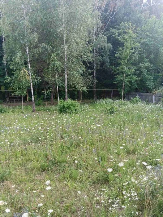 Продам недобудову в Глибочиці 90 м2 в 1 поверх по документах