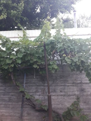 Продаж Дім Пересипський