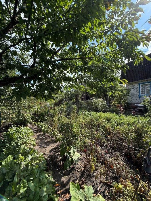 Двоповерхова, цегляна дача, в СТ Весна, ТОРГ