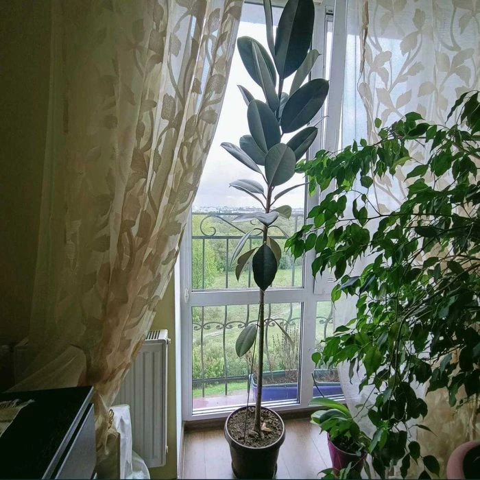 Продаж 2-кім з видом на озеро.
