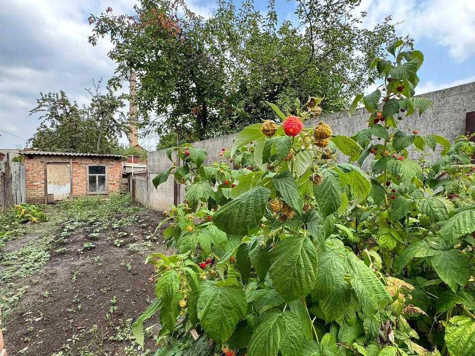 Будинок. Кропивницький, Євгена Плужника вул. (Гмирьова)