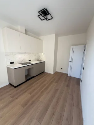 2-комнатная квартира с ремонтом , Кадор сити, Краснова, 65