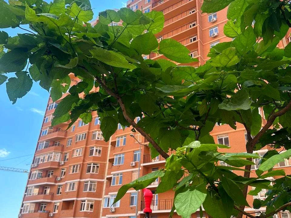 Квартира. Одеса, Овідіопольська дорога вул., 3, к.