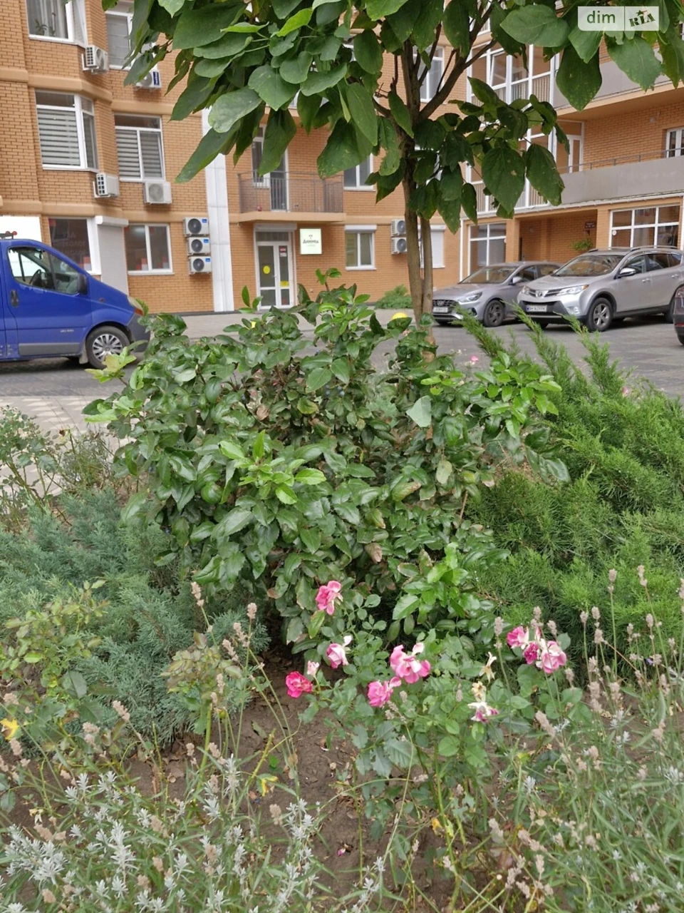 Продаж Квартира Чубаївка