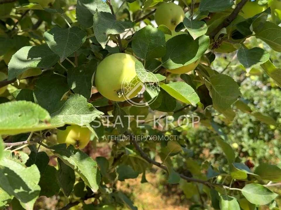 Будинок. Кропивницький, Лелеківська вул.